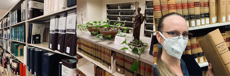 Collage of photos of library stacks and staff