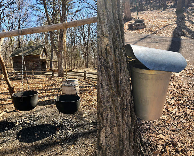 maple syrup equipment