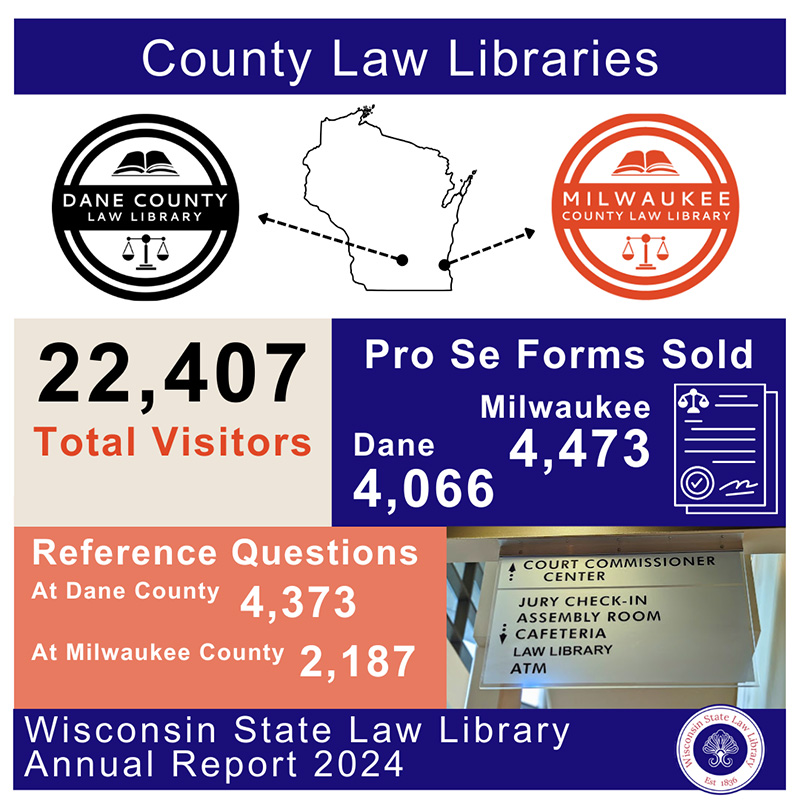 Courthouse library visitors